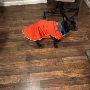 Teckelklub Dog Jacket Medium